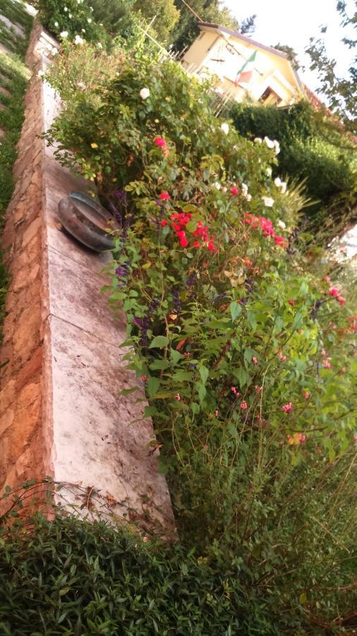 Bed and Breakfast Da Caterina Vittorio Veneto Zewnętrze zdjęcie